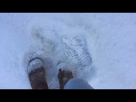 ASMR Walking In Snow | Crunching Sounds