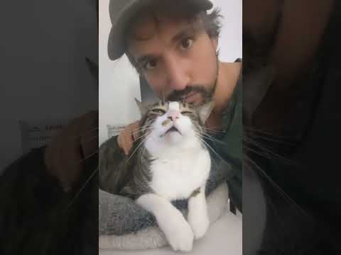 Su cara de placer 🥰 #gatos