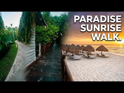 Tropical Sunrise ASMR: Walking to the Beach