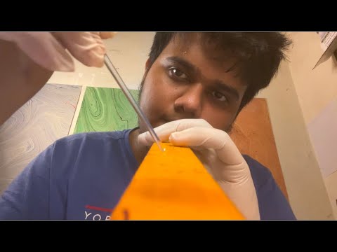 ASMR Detailed Cranial Nerve Exam