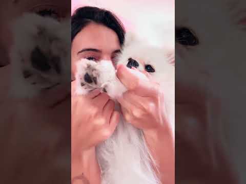 O reiki mais fofo que existe 💓🐶#energyhealing #crystals