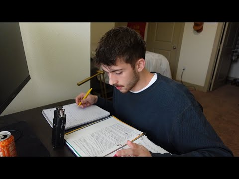Simple ASMR: Study Session (Relaxing Business Coursework)