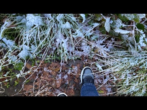 ASMR in the Cold ❄️ | Crispy & Crunchy Sounds 🍂