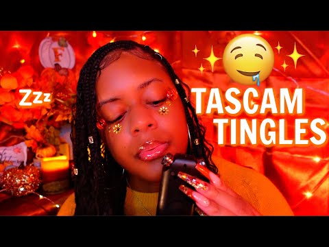 ASMR - INTENSE TASCAM TINGLES 🤤🧡✨(EXTREME TINGLES DOWN YOUR SPINE!!✨)