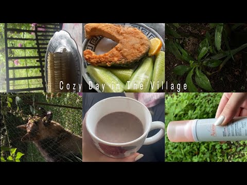 Asmr Cozy Vlog: a rainy day in the village💚✨