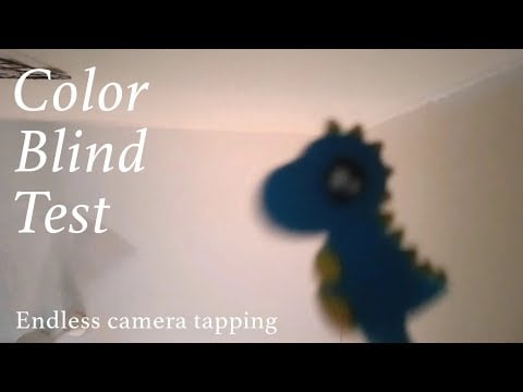 ASMR | Fast Color Blind Test (Endless camera tapping)