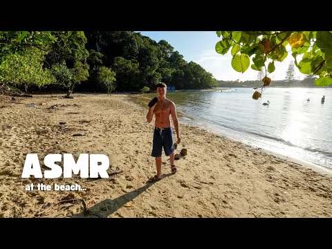 ASMR at the Beach to Put You to Sleep 🏝️