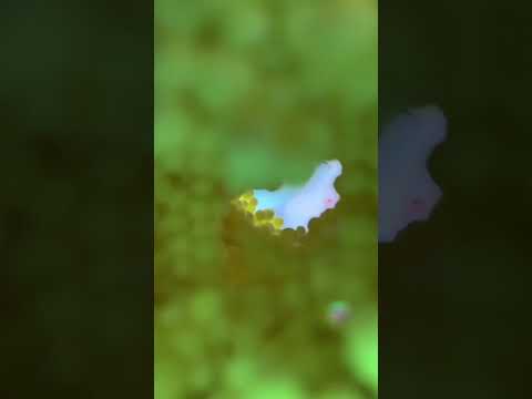 Ear Cleaning ASMR POV