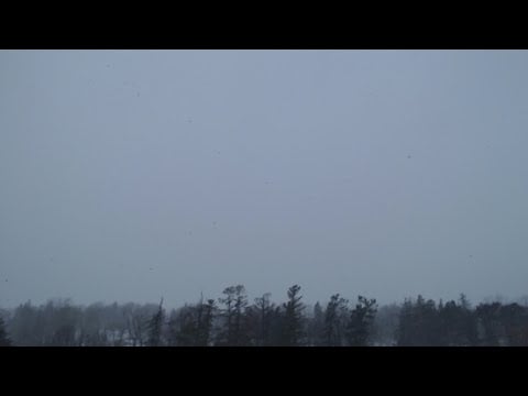 Surprise Snowy Stream
