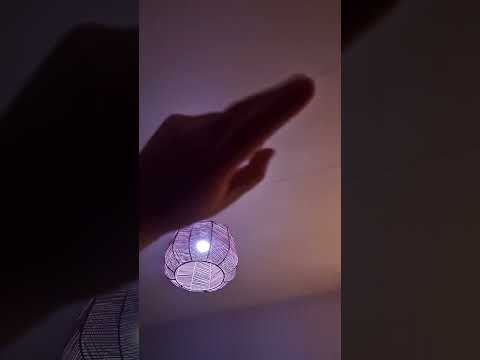 kort asmr