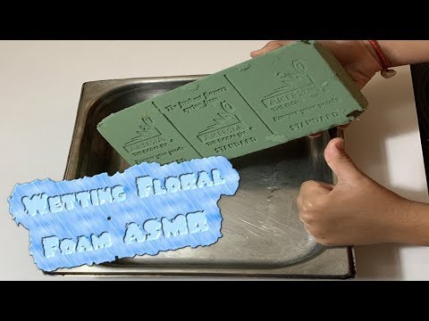 Satisfying Floral Foam Wetting and Crushing ASMR