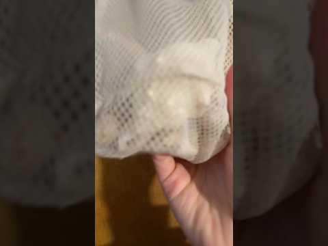 Fiddling with seashells ASMR