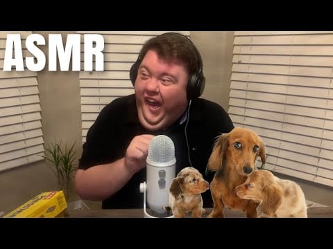 ASMR WITH MY NEW BABY DACHSHUNDS 