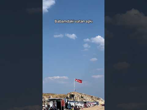 29 Temmuz 2026