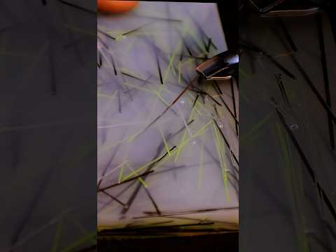 Pickypad ASMR