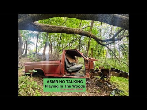 ASMR No Talking Woods Play | Peaceful Nature
