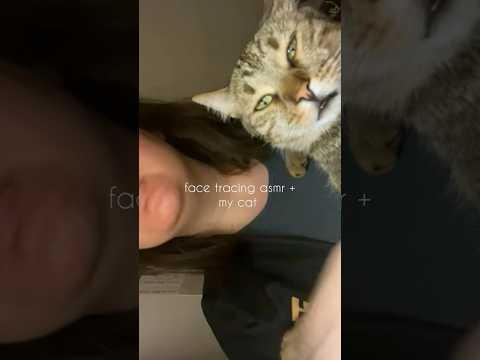 Face Tracing + Cat Purring ASMR