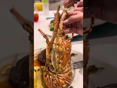 How To Eat LOBSTER