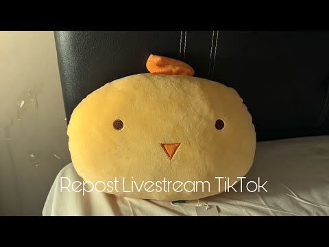 Repost Livestream on TikTok! 💤🛌