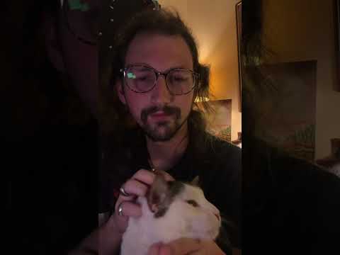 ASMR Cat Purrs & Scratches 2