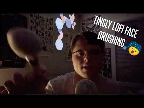 Lofi Face Brushing & Soft Whispers | Eclectic ASMR