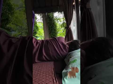 Espectacular masaje tailandés #masaje #massage #relax #masajethai #short