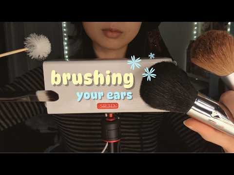 asmr | brushing your sr3d ears