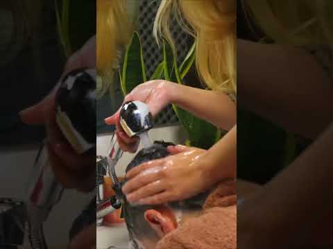 Asmr head washing & massage #shorts #asmrforsleep #headmassage #sleeptherapy #chairmassage