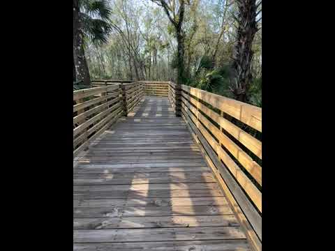 Asmr Nature Walk