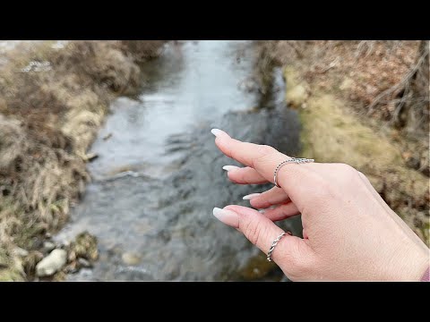 ASMR Nature Tapping with Relaxing Stream Water Sounds [soooo relaxing 💆‍♀️]