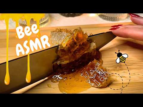 Bee ASMR, Satisfying Honeycomb Slicing, Beeswax And Slime Sounds