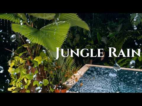 Costa Rica Jungle Rain at Night for Deep Sleep (Calm Your Nervous System)