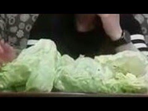 ASMR EATING SOUNDS CRUNCHY LETTUCE:Igorot in Denver Colorado