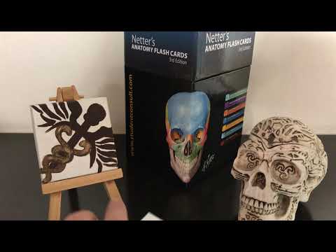 ASMR Español: Tracing con Pincel: Anatomía de Columna [Lo-fi Whisper + Tracing + Pointing]