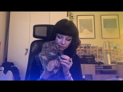 bullshit - asmr 