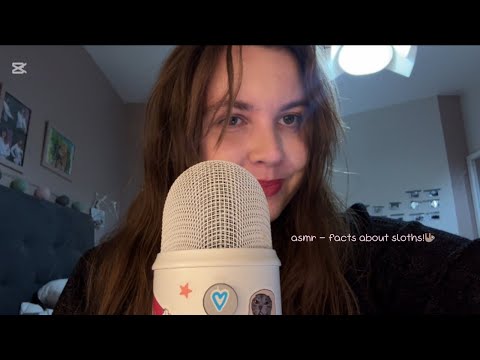 ASMR facts about sloths 🦥