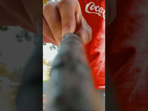Close one eye #asmr #raeasmr #visualasmr #upclose #tracing #natureasmr