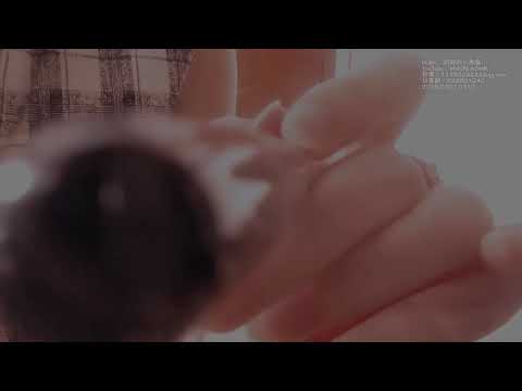 MIAOW ASMR  Scratching mic（loudly）挠立体声麦克风，调小音量，屏幕触发