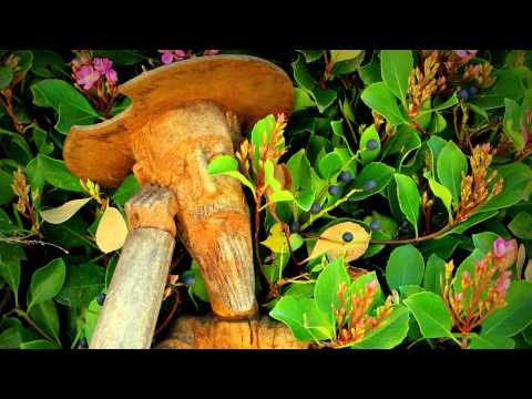 [ASMR] Binaural Vocal Sounds & Breathing In Your Ears