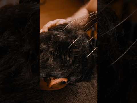 ASMR tingles to make you fall asleep fast 🛌