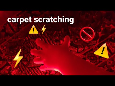 SUPER fast and aggressive CARPET scratching⚡⚠️