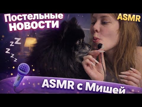 АСМР постельные новости с Мишей🐻💕