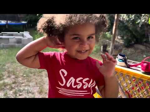 Vlog #241 - Mornings with Twins