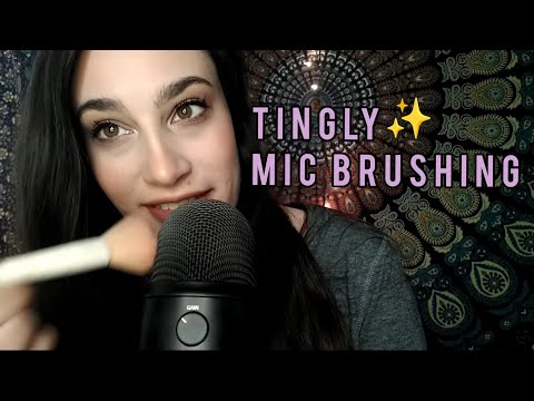 Almost 30 minutes of ASMR mic brushing (Fast, tingly brushing on the Blue Yeti 💙)