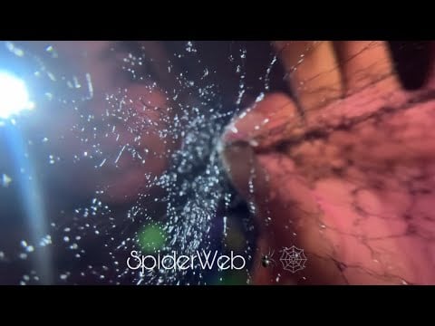 ASMR Spider web with Stick Lamp 🕸️