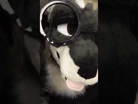 1 minute spa #asmr #asmrsleep #shorts #furry #furryasmr #sleepaid