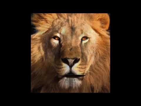 The Lion King - Soft Spoken ASMR