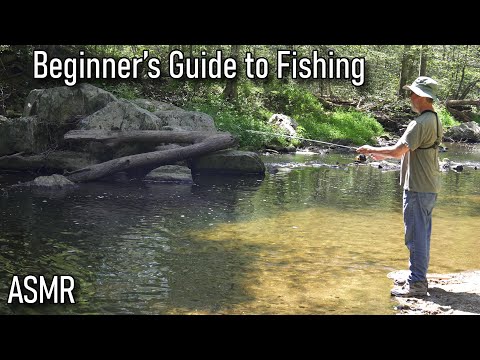 Beginner's Guide to Fishing | ASMR