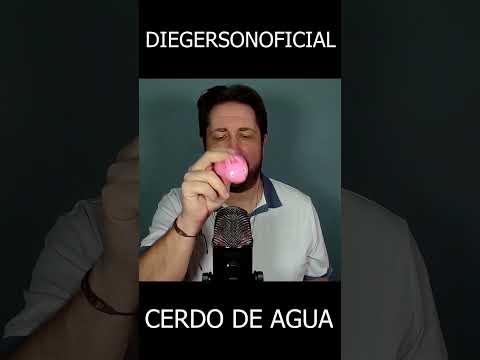 SHORT PERSONALIZADO EN ASMR | CERDO DE AGUA #shorts #short #asmr #relaxing #relax