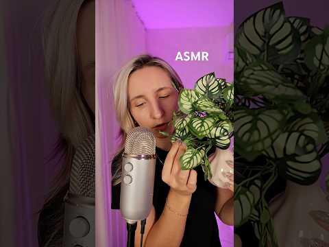 ASMR : CHAQUE SON = 100% FRISSON ✨
